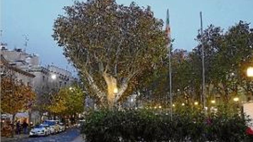 El màstil sense l&#039;estelada a la Rambla al costat de la bandera local.