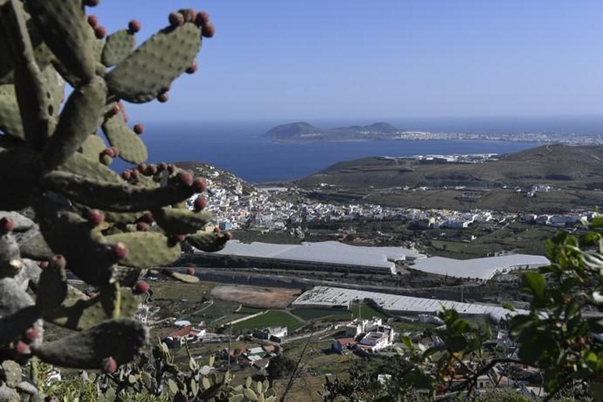 GRAN CANARIA 14-01-2019 ARUCAS. METEOROLOGIA. Calima. Vistas desde la Montaña de Arucas  FOTOS: JUAN CASTRO