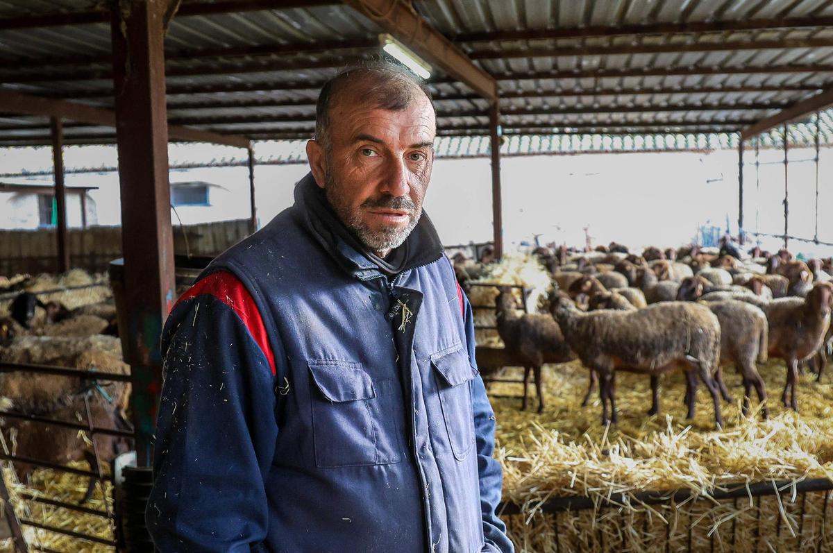 Ramón Sanfélix, con sus ovejas en el Mas del Fondo