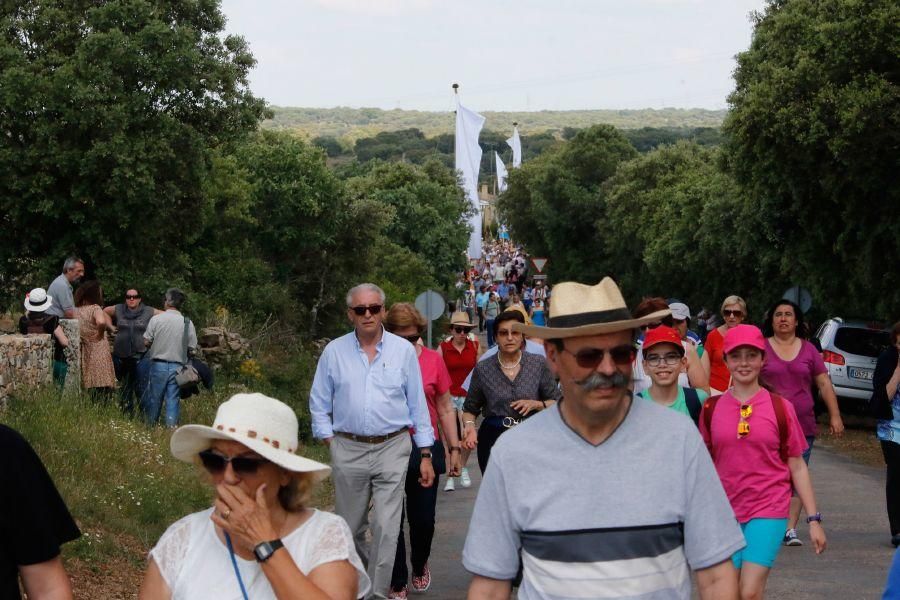 Romería de la Virgen del Castillo en Fariza