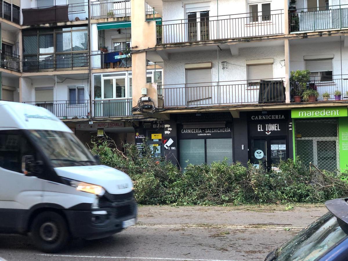 Un muro se desploma en el Instituto El Brocense