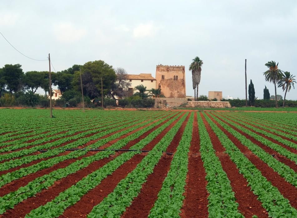 Cabo de Palos por tierra y mar