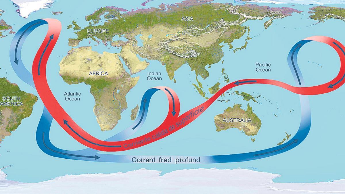 Esquema de la circulació de l’Atlantic Meridional Overtuning Circulation (AMOC), que regeix gran part del clima mundial