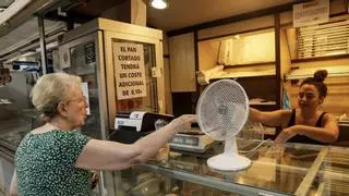 Sin aire acondicionado en el Mercado de Benalúa de Alicante en pleno verano: "Es inhumano"