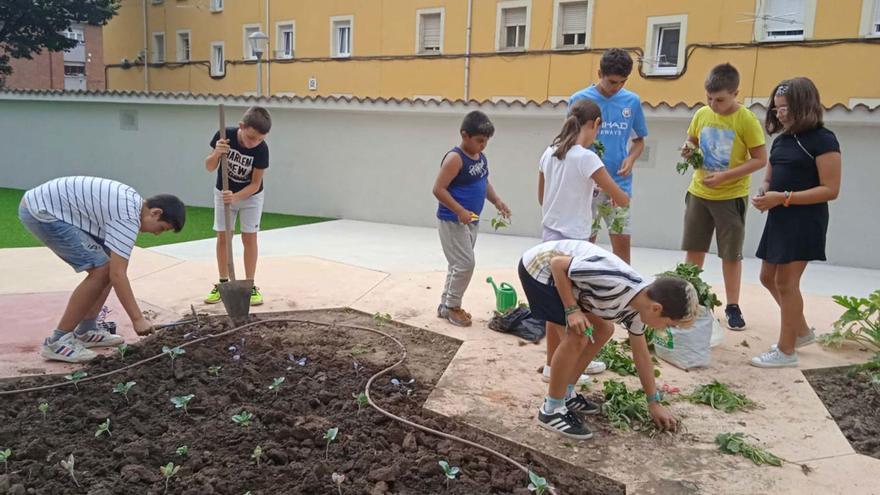 Jóvenes participantes en los proyectos de Arkuos, en un huerto del exterior del espacio.