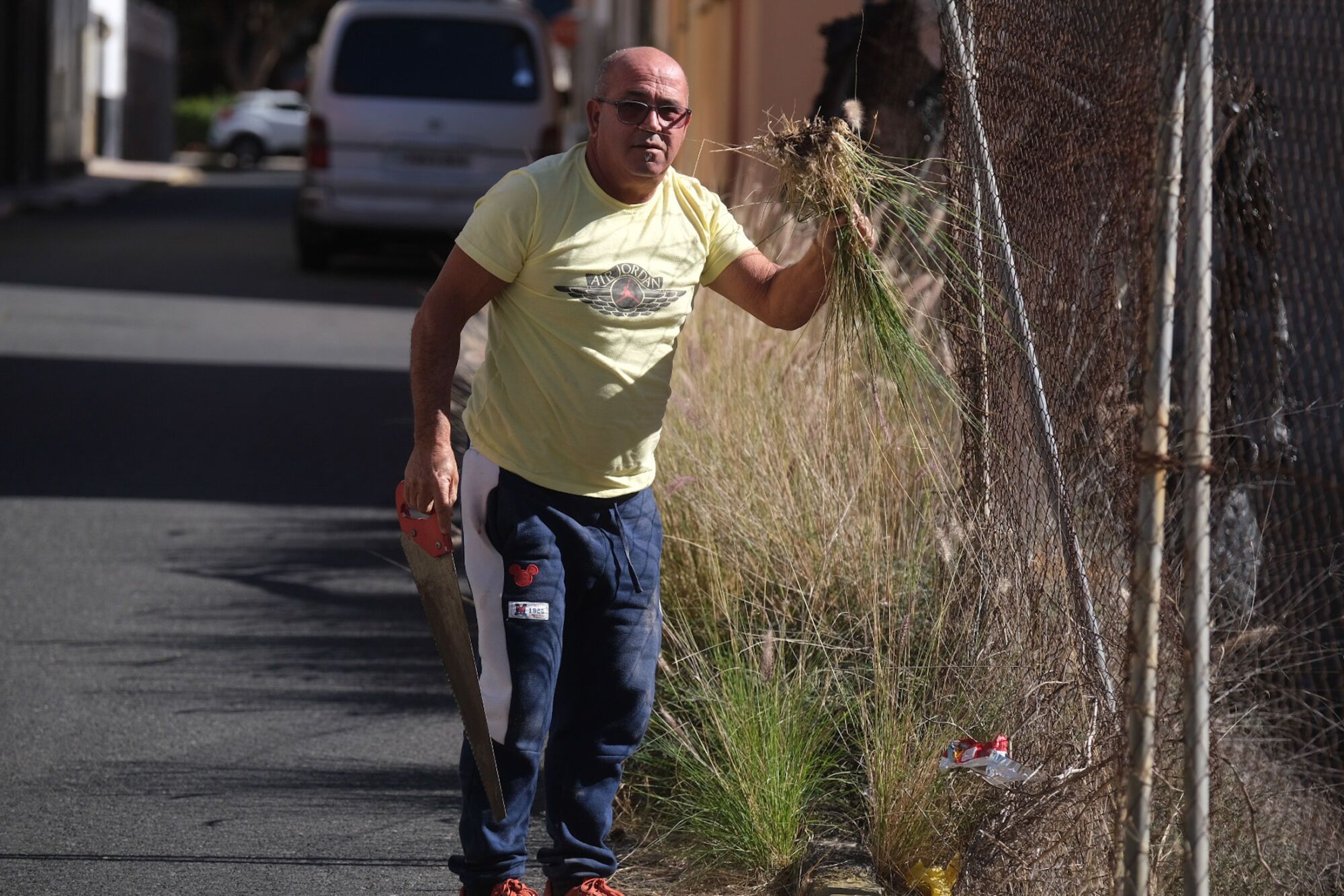 Rabo de gato en el barrio de Los Giles, en Las Palmas de Gran Canaria