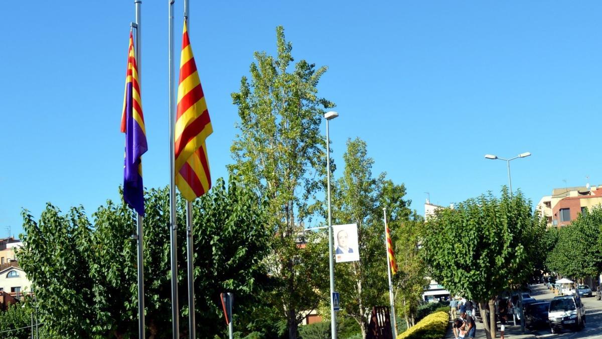 Imagen de la estelada.