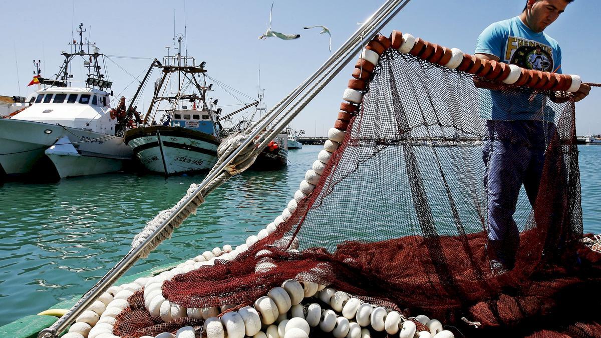 Barcos en el puerto de Barbate (Cádiz)