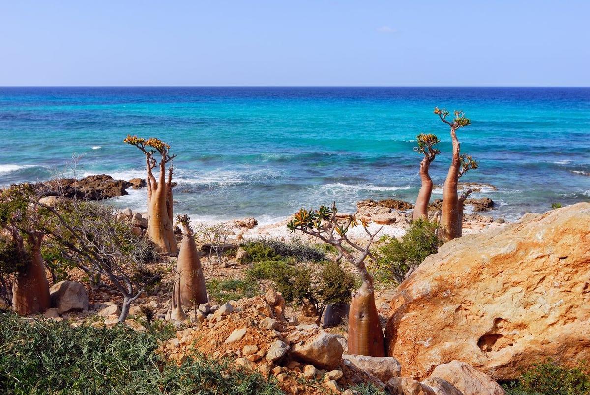 Socotra