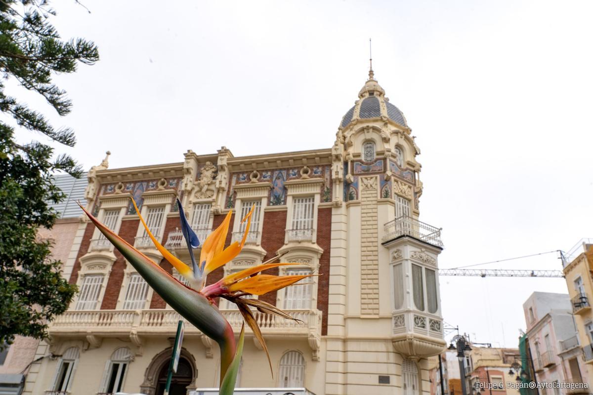 Una flor de la planta Ave del Paríso en la Plaza del Lago