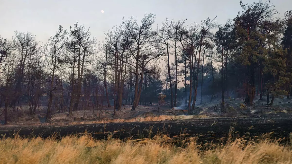 Al menos 17 muertos en Turquía durante la ola de incendios y calor en el Mediterráneo oriental
