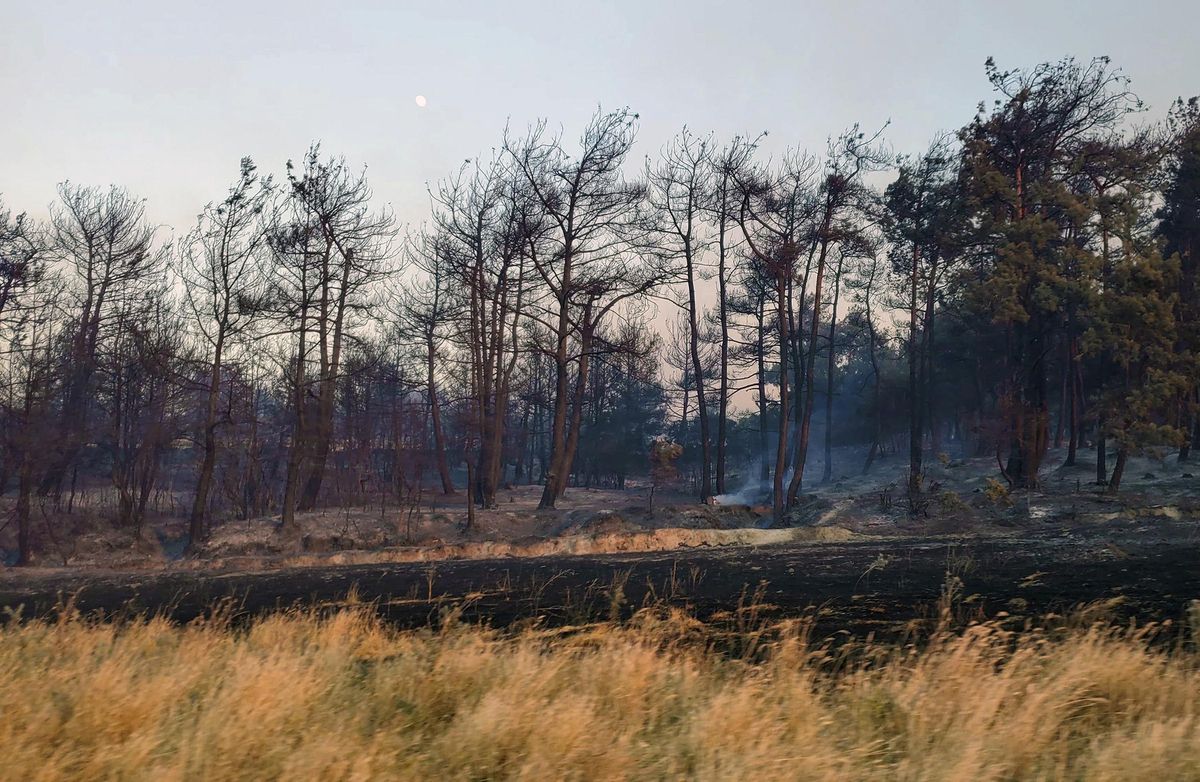 Almenys 17 morts a Turquia en una onada d’incendis Almenys 17 morts a Turquia en una onada d’incendis