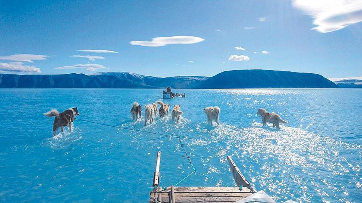 Deshielo en Groenlandia, trineos sobre una lámina de agua.