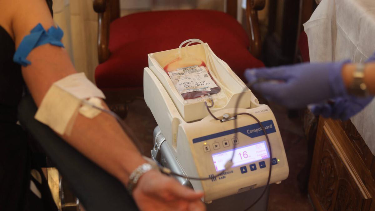Una de las donaciones de sangre en el salón de plenos del Ayuntamiento de Zamora.