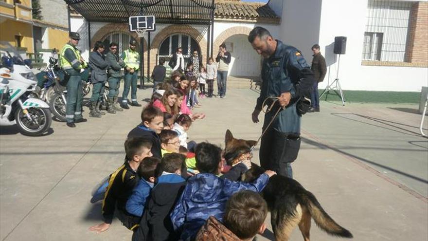 Exhibiciones de la Guardia Civil