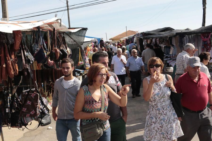 Fiesta de la Trashumancia en San Vitero