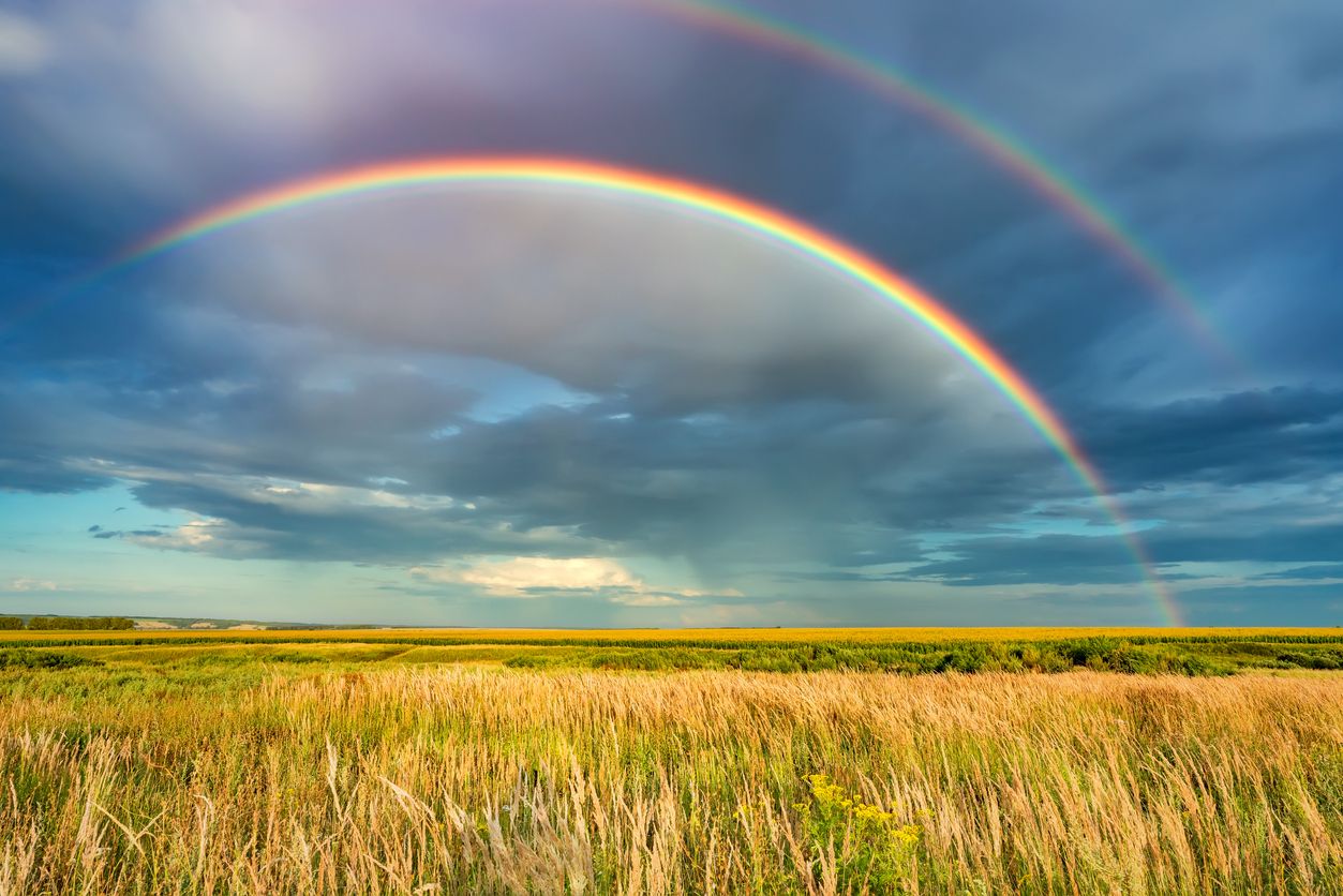 JORGE REY - campo arco iris