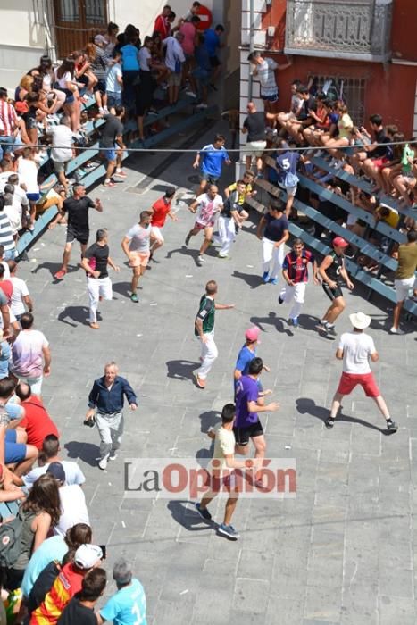 I Encierro de Blanca 2016