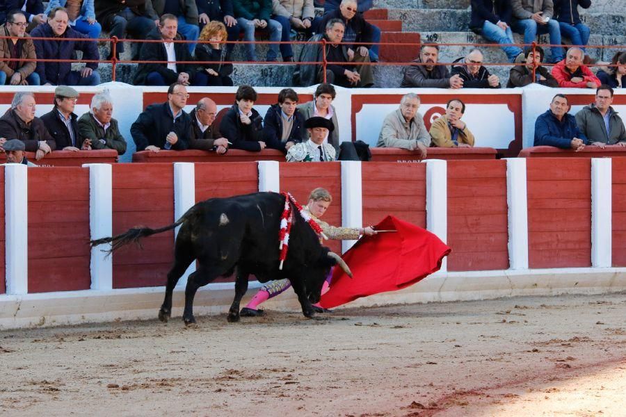 Tarde de toros en Zamora