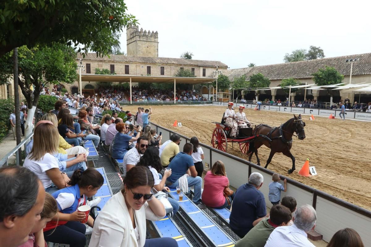 Concurso de atalaje de tradición en Cabalcor