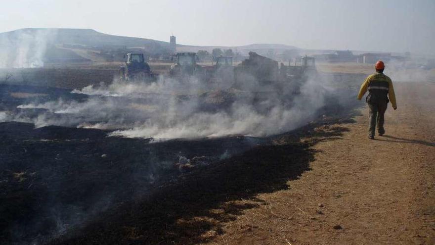 Quema controlada de rastrojos para evitar la plaga de topillos en 2012 en Abezames.