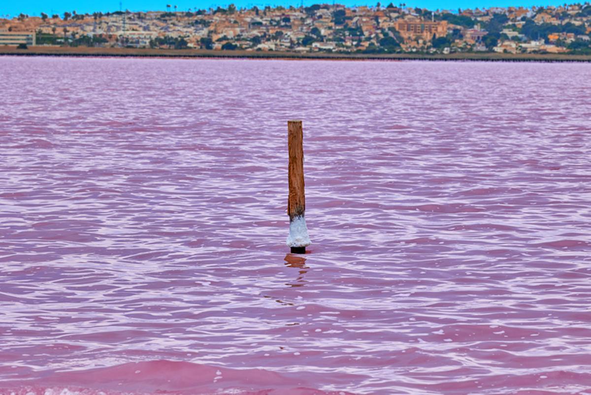 Se puede intuir la salinidad de la laguna viendo este palo en medio de ella.