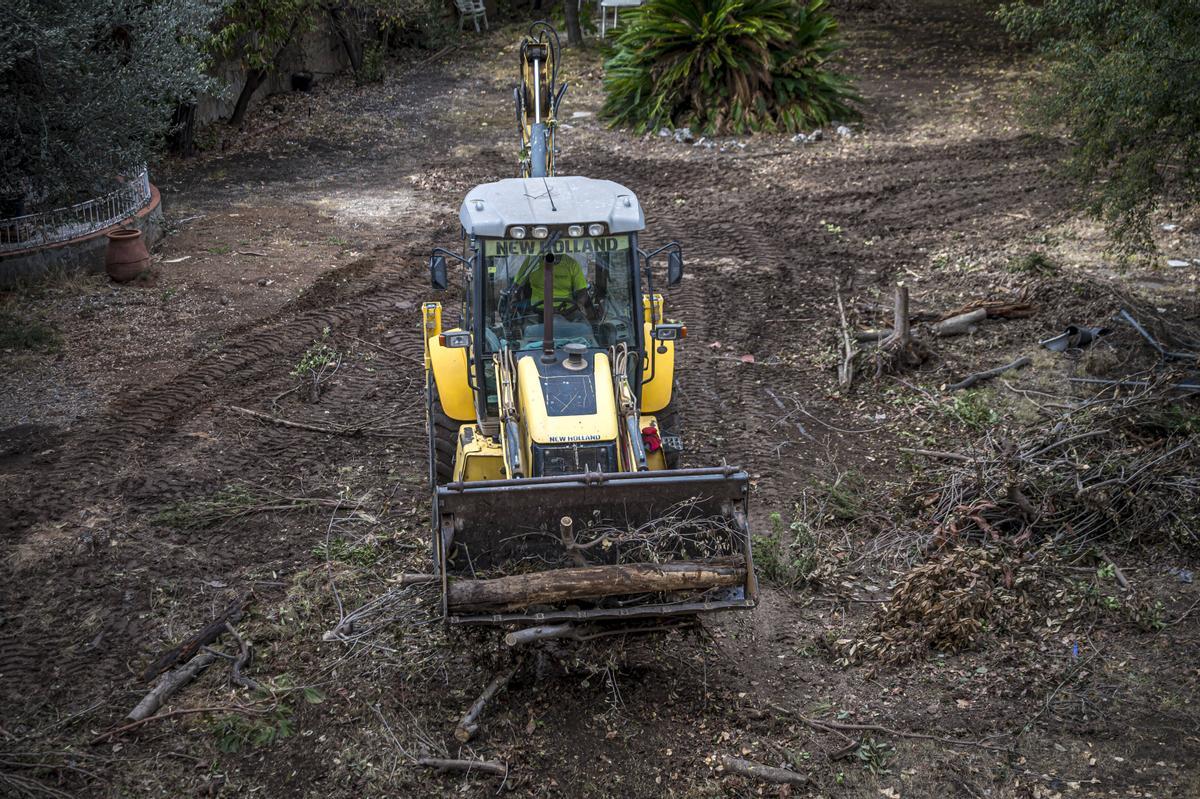 Protesta davant l’Ajuntament de Barcelona contra la tala d’arbres a Can Raventós