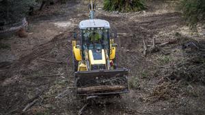 Protesta davant l’Ajuntament de Barcelona contra la tala d’arbres a Can Raventós