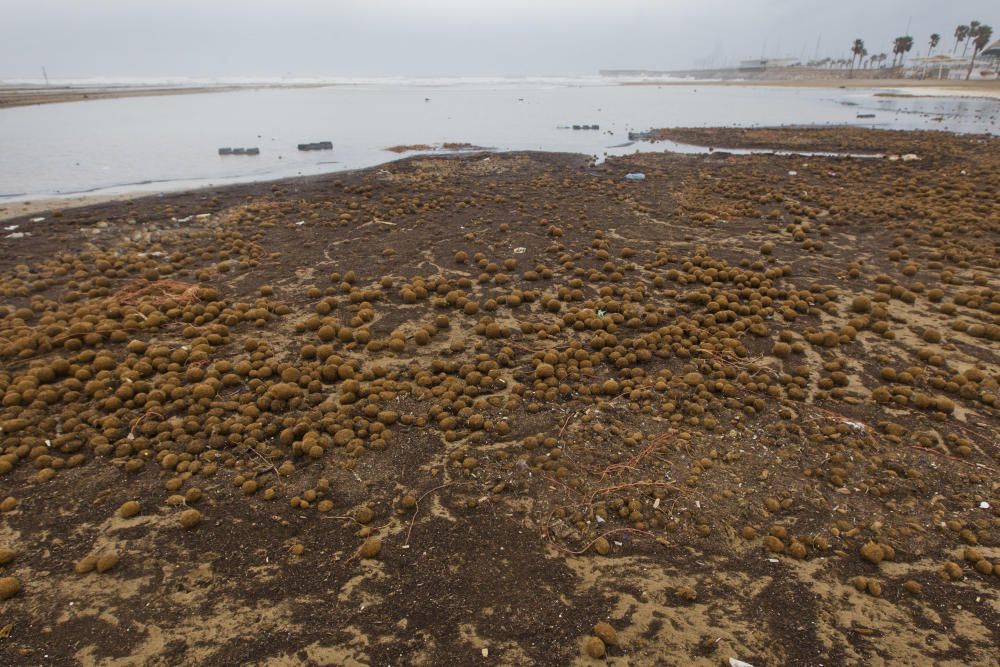 Las playas de la Malva-rosa, el Cabanyal y la Marina tras el temporal marítimo.