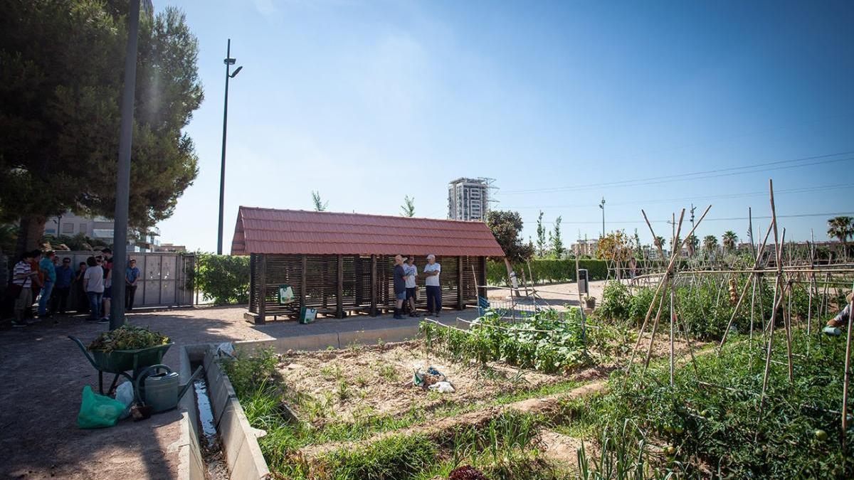 València reabre sus huertos urbanos