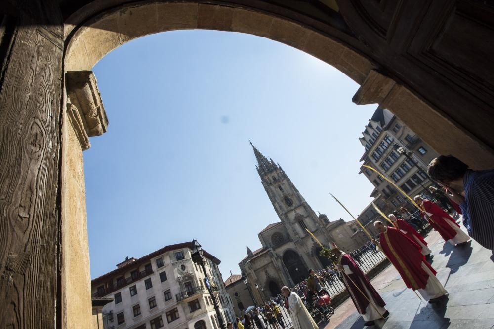 Bendición de ramos en la plaza de la Catedral