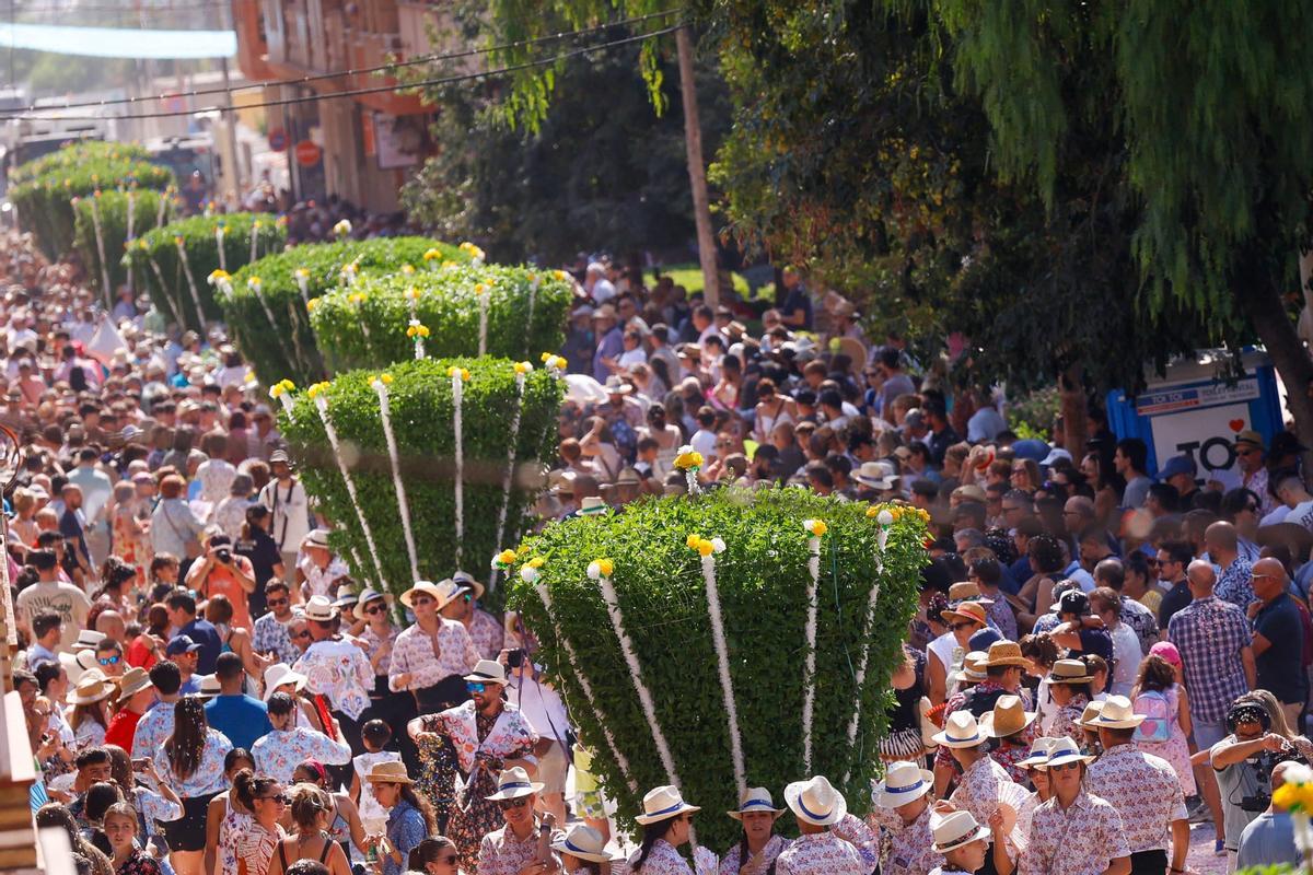 Alfabegues de Bétera.