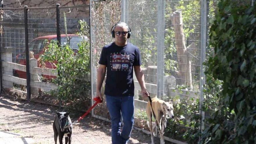 Jorge Javier Vázquez pasea sus galgos