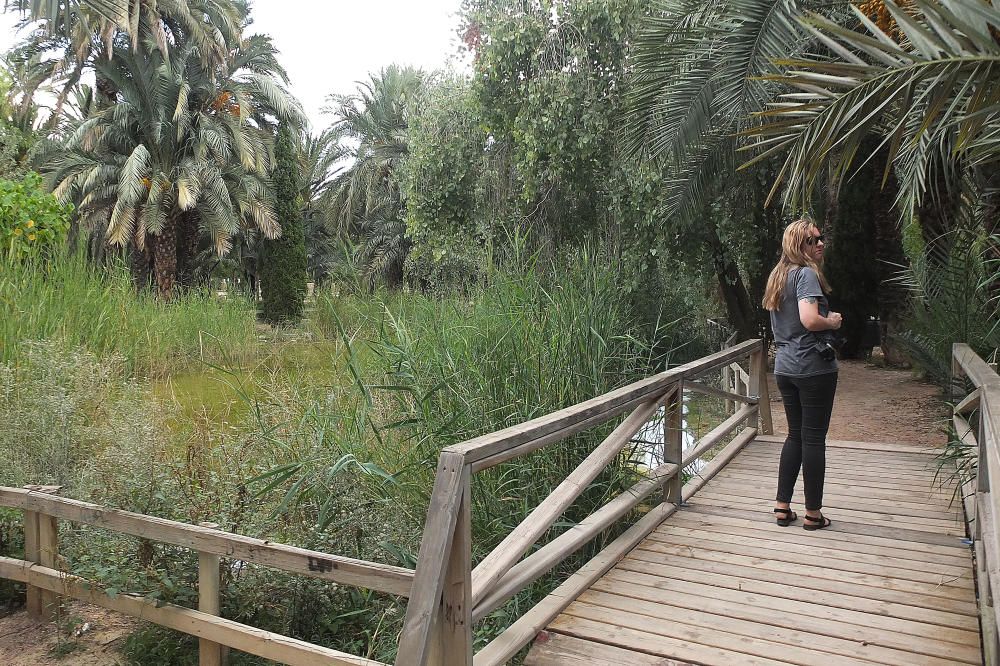 La ruta del Palmeral, abandonada