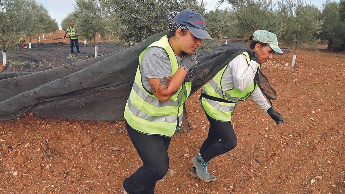 Dos jornaleros tiran de un fardo en una finca situada en la provincia.