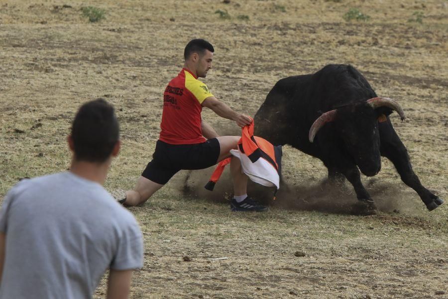 Espantes en Guarrate