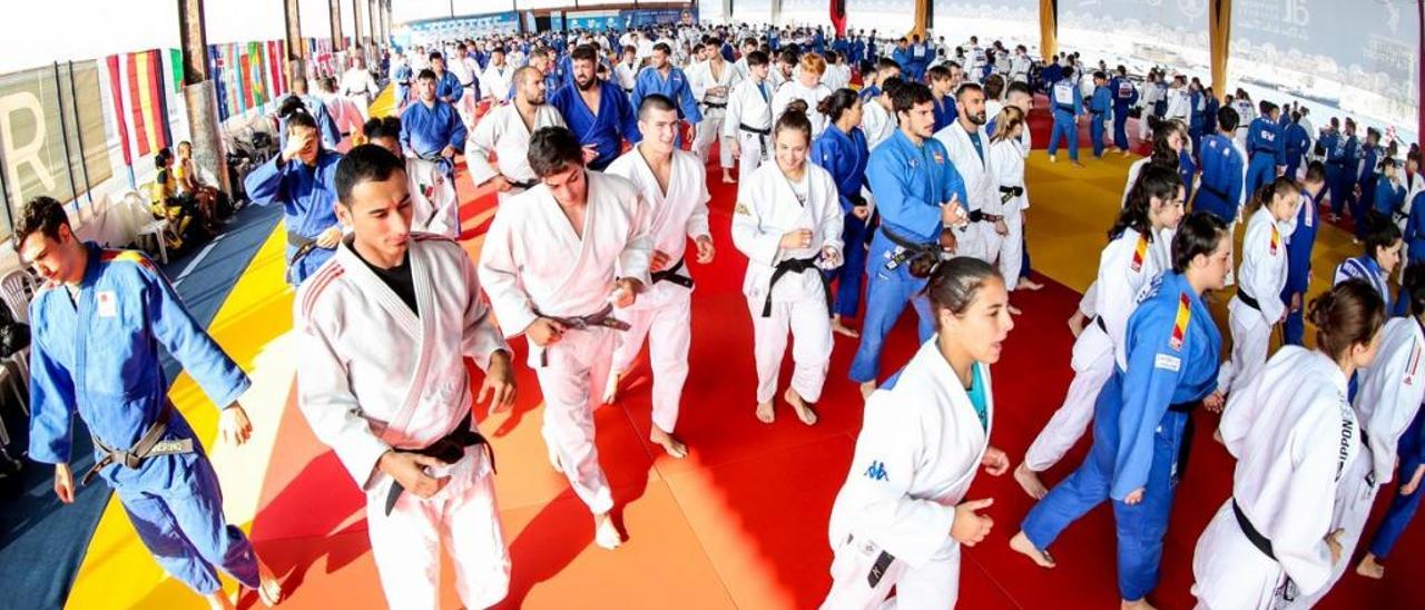 Entrenamientos en el tinglado del Muelle 14 del Puerto de Alicante durante la I Concentración Internacional de Judo esta semana.