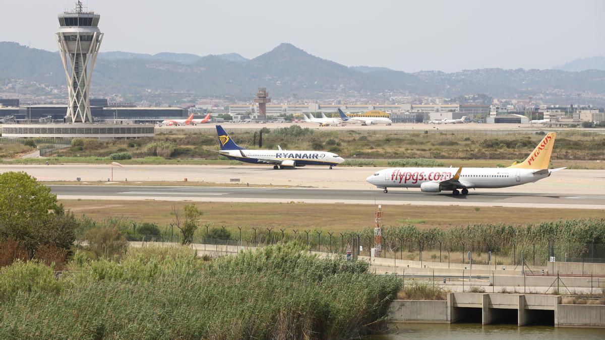 Ampliación de l'aeropuerto de El Prat, por la zona del paraje natural de ' La Ricarda'.