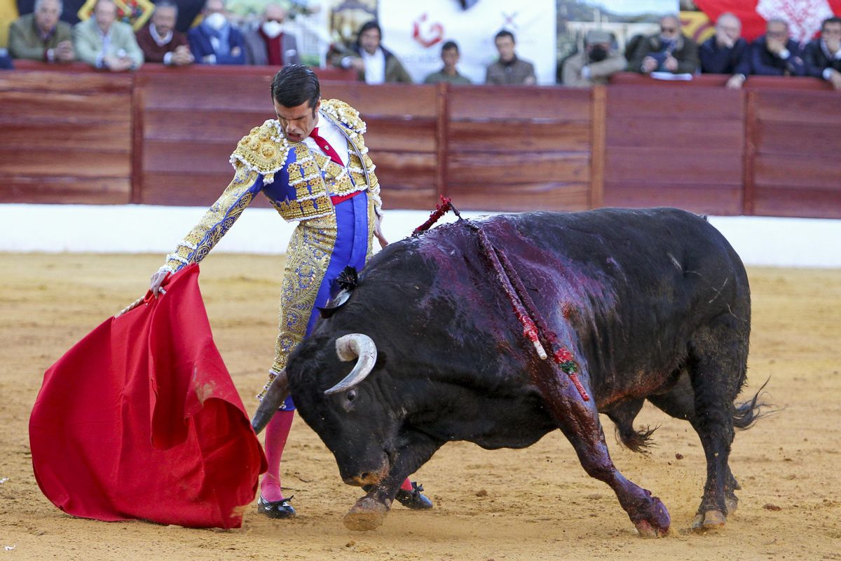 La Feria de Olivenza celebra su 31 edición