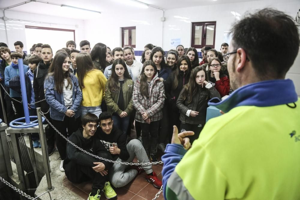 Escolares del IES Monte Naranco visitan la estación depuradora de aguas residuales de Malpica