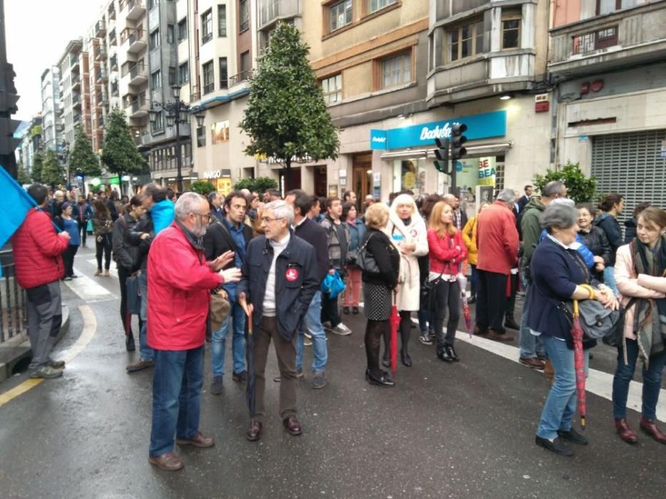 Manifestación por la oficialidad del Asturianu