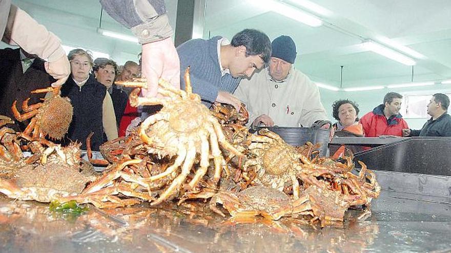 Pesca decomisó 4 toneladas de mercancía en las rías de Vigo y Pontevedra durante este año