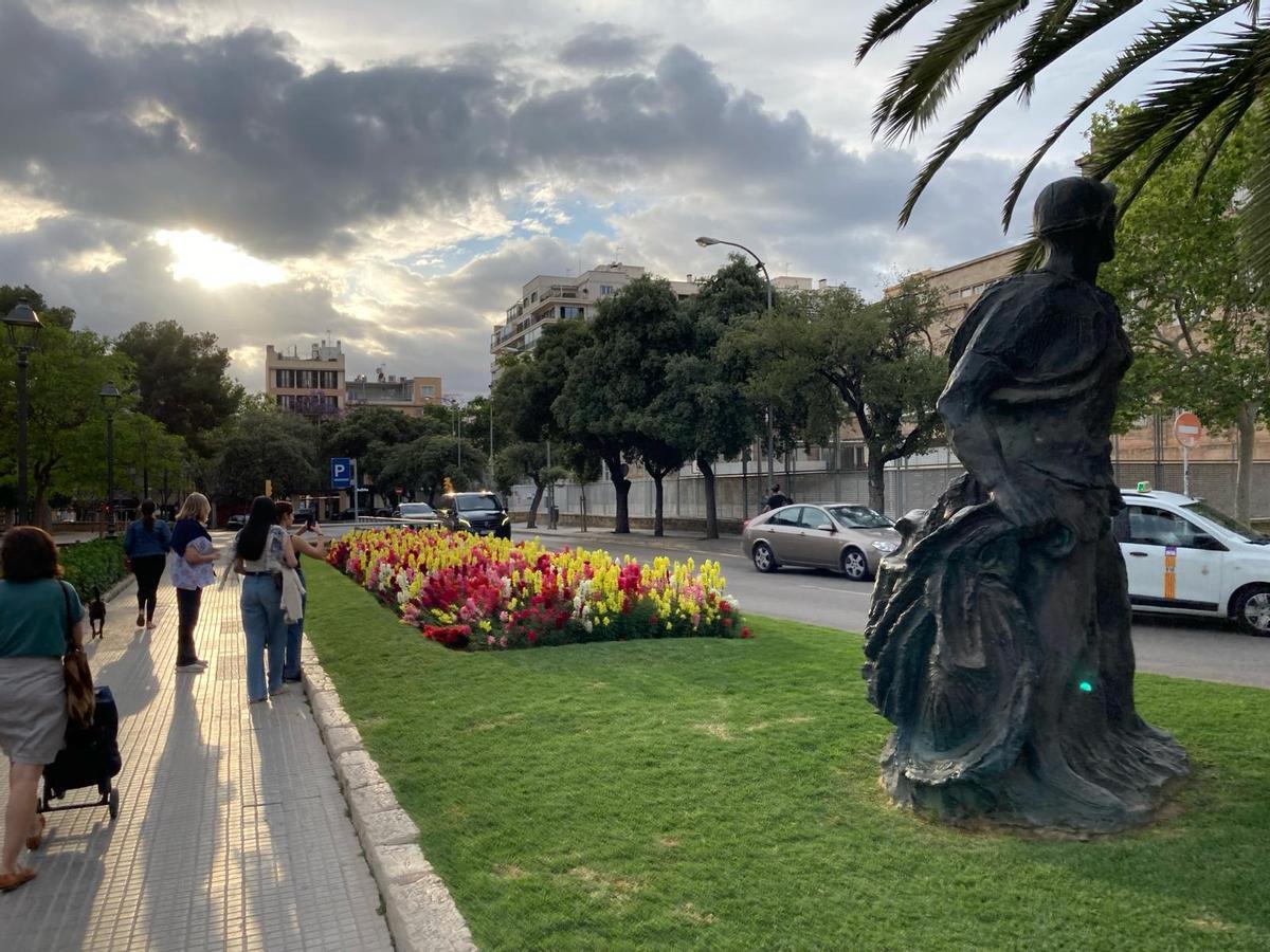 Ciudadanos fotografían las flores pisoteadas este domingo en el Paseo Mallorca