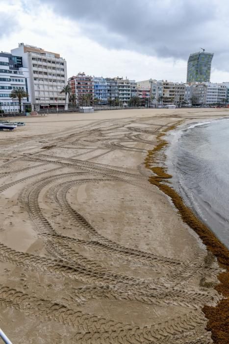 25-03-20 LAS PALMAS DE GRAN CANARIA. CIUDAD. LAS PALMAS DE GRAN CANARIA. Recorrido por la ciudad para vera su desolación.   Fotos: Juan Castro.  | 25/03/2020 | Fotógrafo: Juan Carlos Castro