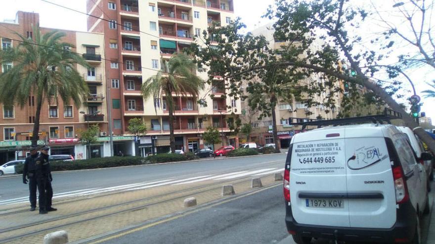 El fuerte viento derriba un árbol en València y corta la circulación del tranvía