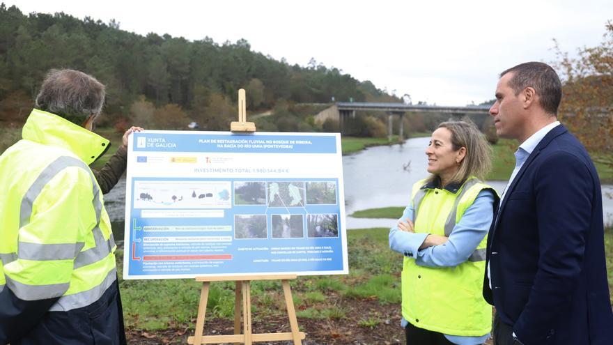 La Xunta usará 7.000 árboles para crear barreras anti-inundaciones en el río Umia