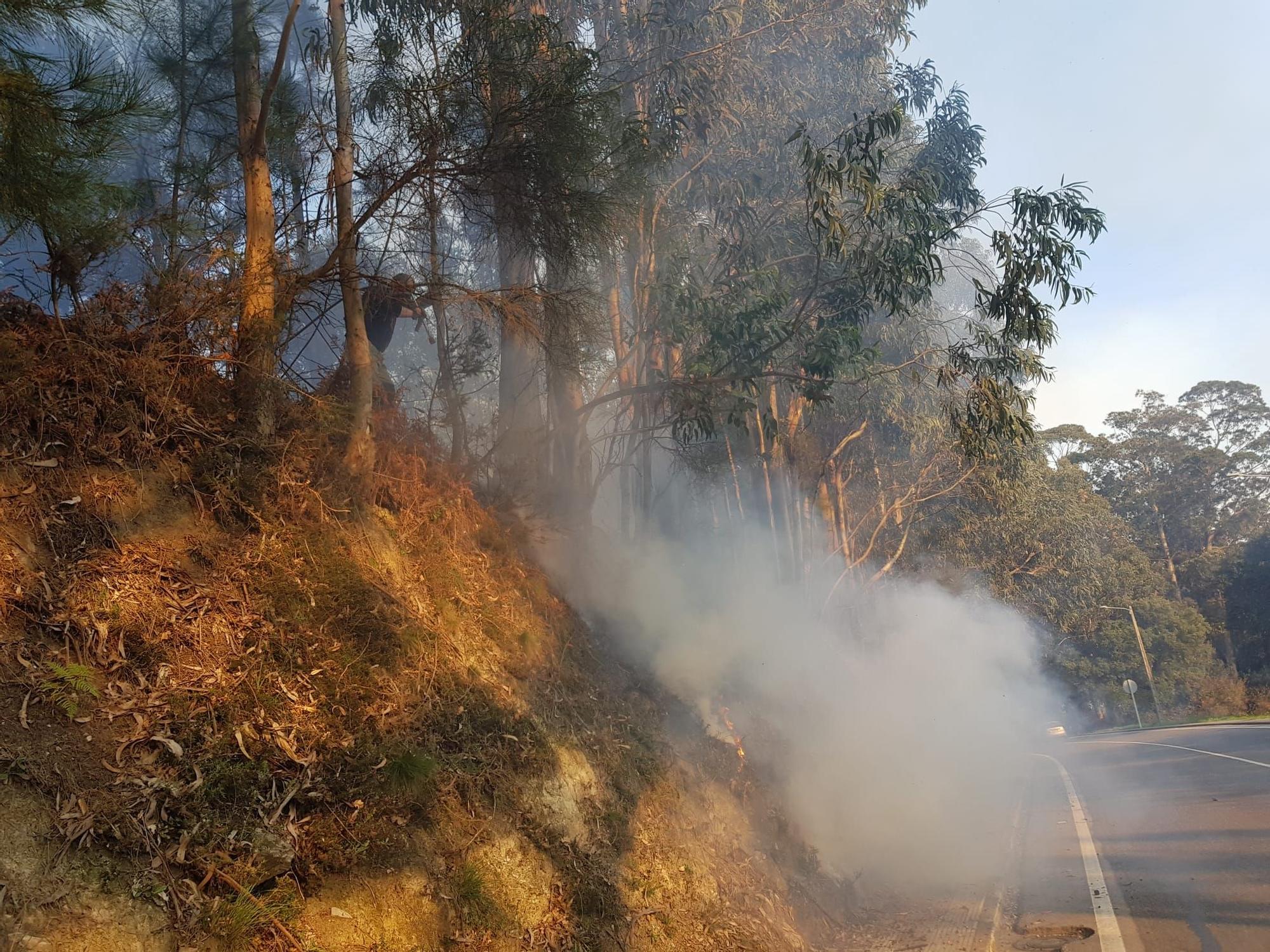 La zona quemada, todavía con humo.