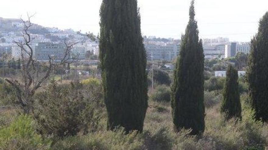 Parte del terreno de Jesús donde Tur Viñas proyecta construir el complejo sanitario privado, con la vista de Dalt Vila al fondo.