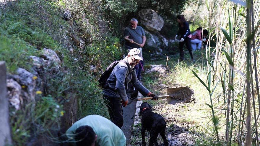 Epidemias, ratas, serpientes y sequía, las amenazas del enclave más verde de Ibiza