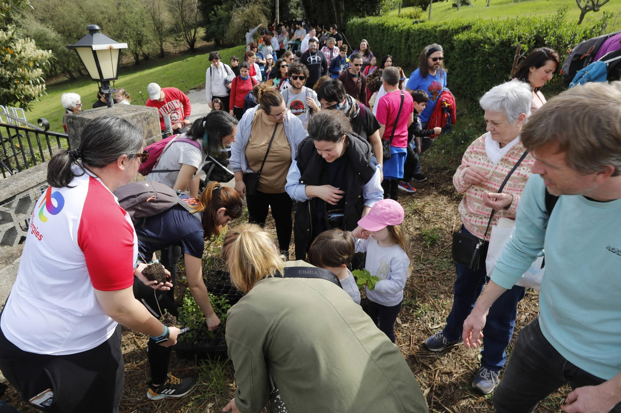 En imágenes: Así fue la reforestación forestal en La Pedrera (Gijón)